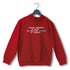 Quirkipedia Organic Chemistry is Alkynes of Trouble CHEMISTRY Science, Nerd, Geeky Hooded SweatShirts